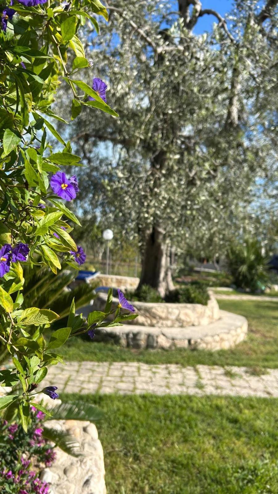 B&B Casa Vacanze Tor Di Lupo Mattinata Esterno foto